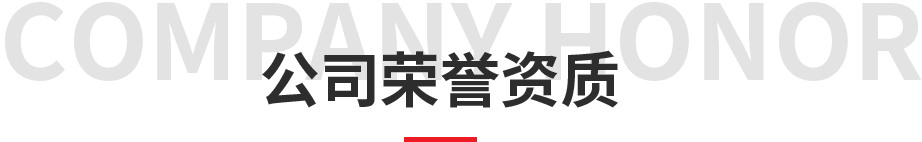 公司荣誉