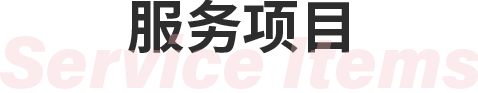 服务项目